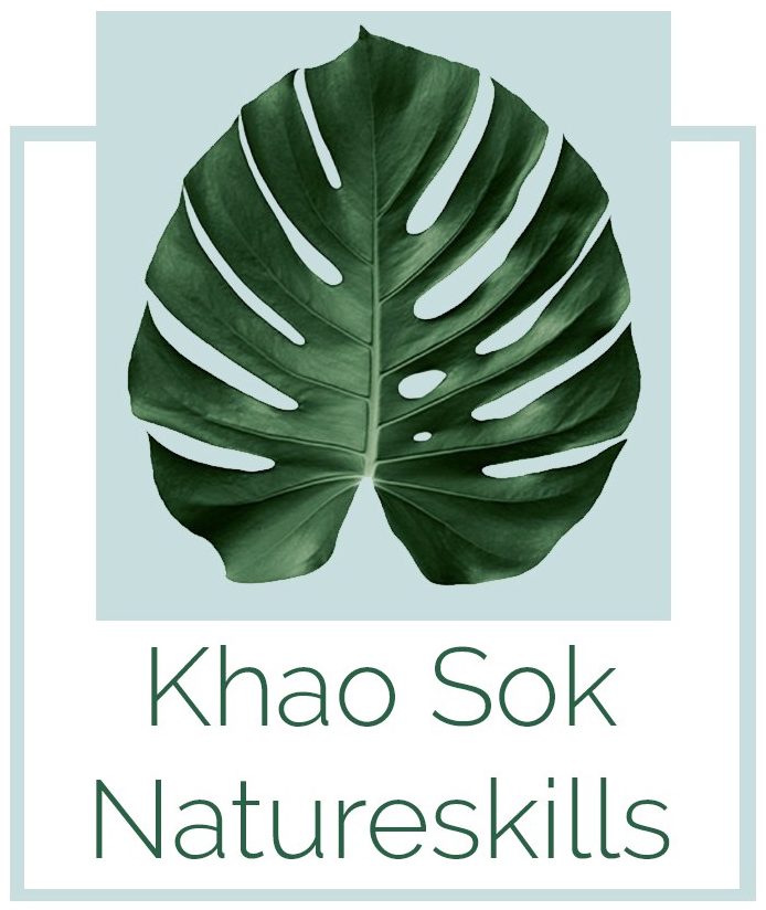 design logo khao sok - rsdesigns video foto ontwerp